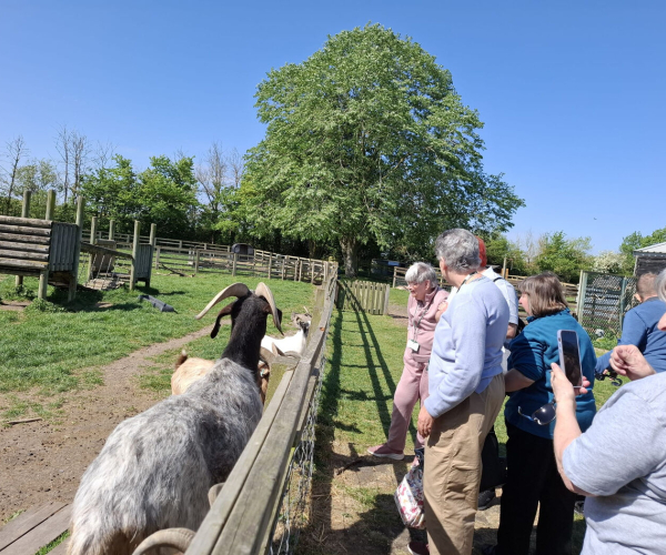 Visit to The Goat Centre