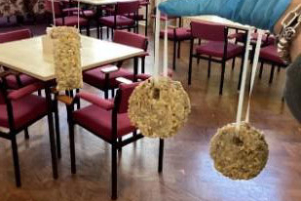 Making Bird Feeders