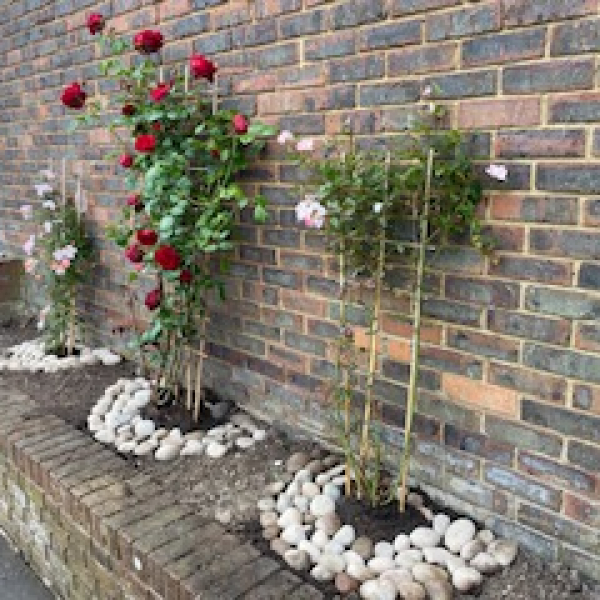Rose garden memorial