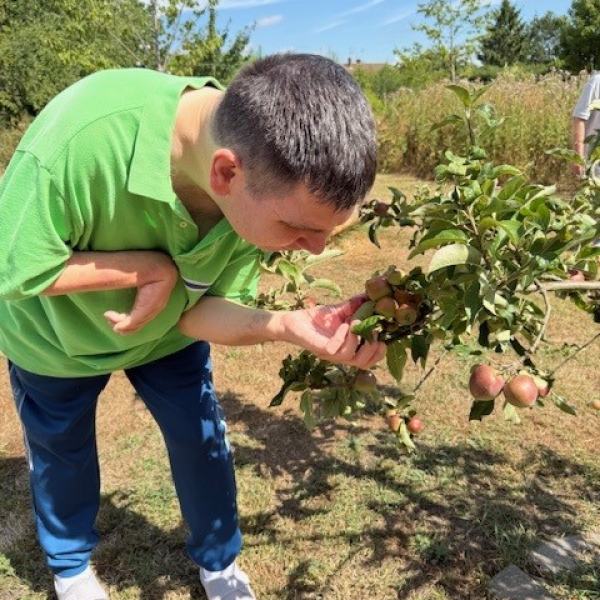 Sensory Garden Holmer Green Timmy